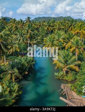 Crociera panoramica sul fiume Maasin a Siargao - Un tranquillo viaggio attraverso le lussureggianti acque costeggiate da palme, con la famosa palma Bent Palm Tree e le splendide acque tropicali Foto Stock