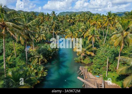 Crociera panoramica sul fiume Maasin a Siargao - Un tranquillo viaggio attraverso le lussureggianti acque costeggiate da palme, con la famosa palma Bent Palm Tree e le splendide acque tropicali Foto Stock