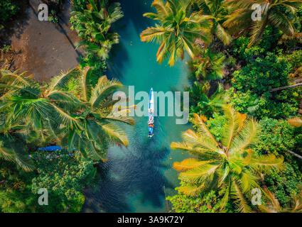 Crociera panoramica sul fiume Maasin a Siargao - Un tranquillo viaggio attraverso le lussureggianti acque costeggiate da palme, con la famosa palma Bent Palm Tree e le splendide acque tropicali Foto Stock