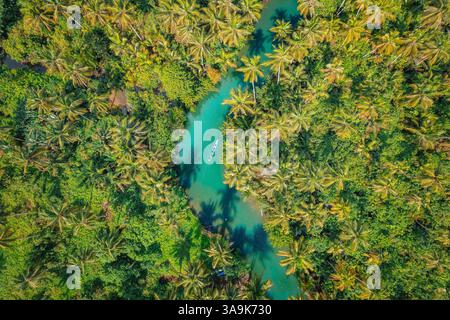 Crociera panoramica sul fiume Maasin a Siargao - Un tranquillo viaggio attraverso le lussureggianti acque costeggiate da palme, con la famosa palma Bent Palm Tree e le splendide acque tropicali Foto Stock