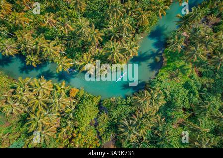 Crociera panoramica sul fiume Maasin a Siargao - Un tranquillo viaggio attraverso le lussureggianti acque costeggiate da palme, con la famosa palma Bent Palm Tree e le splendide acque tropicali Foto Stock