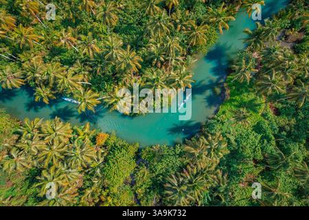 Crociera panoramica sul fiume Maasin a Siargao - Un tranquillo viaggio attraverso le lussureggianti acque costeggiate da palme, con la famosa palma Bent Palm Tree e le splendide acque tropicali Foto Stock
