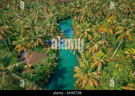 Crociera panoramica sul fiume Maasin a Siargao - Un tranquillo viaggio attraverso le lussureggianti acque costeggiate da palme, con la famosa palma Bent Palm Tree e le splendide acque tropicali Foto Stock