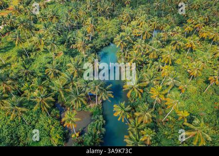 Crociera panoramica sul fiume Maasin a Siargao - Un tranquillo viaggio attraverso le lussureggianti acque costeggiate da palme, con la famosa palma Bent Palm Tree e le splendide acque tropicali Foto Stock