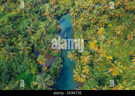 Crociera panoramica sul fiume Maasin a Siargao - Un tranquillo viaggio attraverso le lussureggianti acque costeggiate da palme, con la famosa palma Bent Palm Tree e le splendide acque tropicali Foto Stock