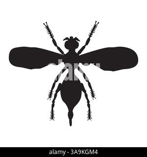 Sagoma bug. Forma di insetto con ali. Silhouette nera di coleottero. Elemento di progettazione per entomologia o biologia per poster, volantini o copertina di libri. Vettore Illustrazione Vettoriale