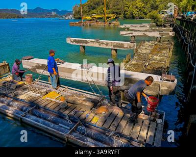 Yuchi, Taiwan, Lago Sun Moon, gruppo di persone, migranti, lavori all'esterno in cantiere, installazione di calcestruzzo, pontile, dipendenti che lavorano Foto Stock