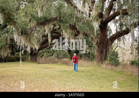 Persona in camicia rossa che cammina sotto grandi querce con muschio spagnolo. Foto Stock