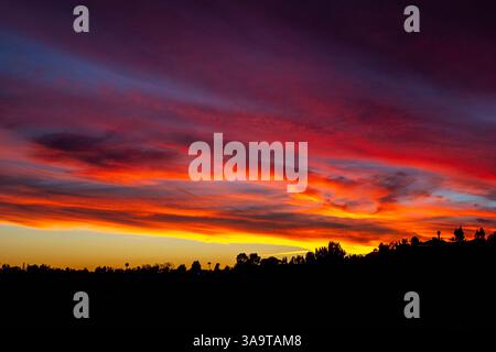 Nuvole di fuoco al tramonto si estendono attraverso il cielo sopra le cime degli alberi sagomate Foto Stock