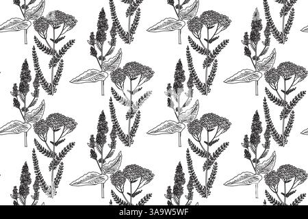 Motivo floreale senza cuciture line art con illustrazione vettoriale di fiori selvatici. Contorno nero che ripete le piante medicinali su sfondo bianco. Immagine Illustrazione Vettoriale