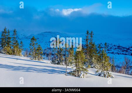 Paesaggio invernale nel parco nazionale di Sylan, Norvegia Foto Stock