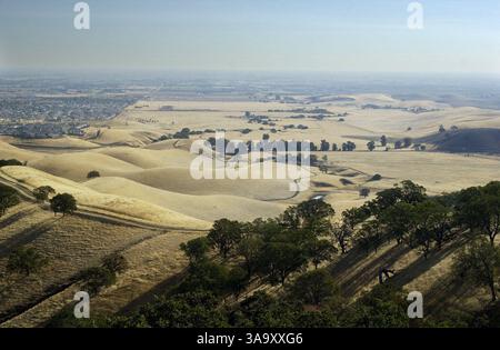 Questa terra nidifica alla riserva regionale Black Diamond Mines e fino a Deer Valley Rd Ad Antioch, in California, la città di Antioch e gli sviluppatori stanno cercando di costruire 5.000 case proprio accanto alla riserva. Mercoledì 30 ottobre 2002. (Herman Bustamante JR./CONTRA COSTA TIMES) /ZUMA Press Foto Stock