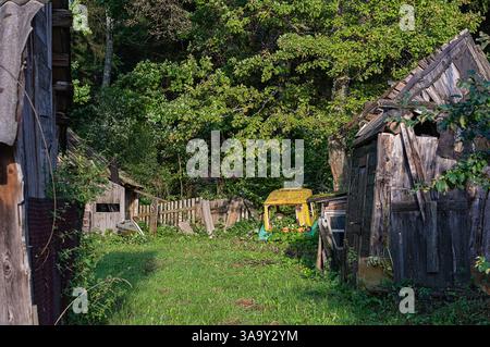 Scena rustica con capannoni in legno abbandonati con vegetazione ricoperta e recinzione fatiscente. L'area e' circondata da lussureggiante vegetazione, creando un Foto Stock