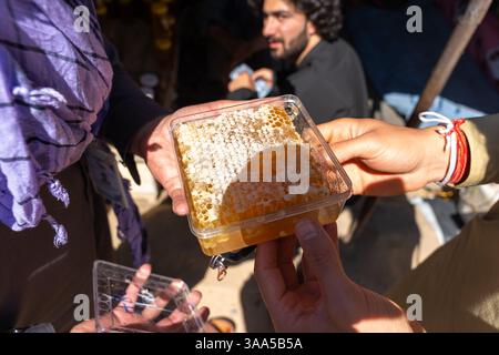 Miele proveniente da un apiario sull'autostrada Herat-Kandahar Foto Stock