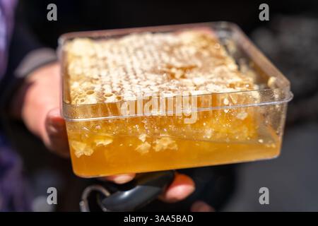 Miele proveniente da un apiario sull'autostrada Herat-Kandahar Foto Stock