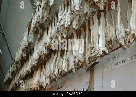1 ottobre 2006; Oslo, NORVEGIA; i turisti visitano il Museo Fram di Bygd¿y, Oslo. La nave polare "Fram" fu usata dal norvegese Roald Amundsen, che fu il primo uomo a raggiungere il Polo Sud. La Fram giocò un ruolo fondamentale nelle spedizioni norvegesi nelle aree polari, in quanto fu utilizzata in tre viaggi storici. La "Fram" era la nave convenzionale più potente al mondo, appositamente progettata per resistere al ghiaccio nelle regioni polari. La nave del Mar Artico è stata ben restaurata e conservata per i posteri ed è ora ormeggiata al Museo Fram di Bygd¿y, Oslo. Questo museo ospita anche gran parte delle attrezzature utilizzate da Foto Stock