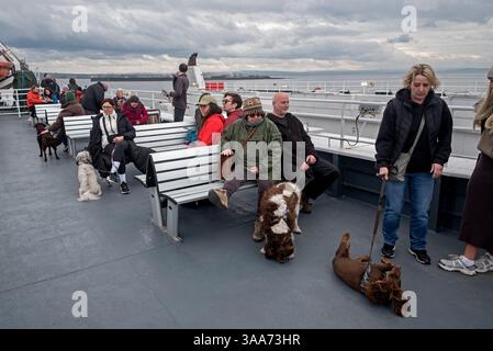 Dog Deck sul traghetto MV Alfred tra Troon e Brodick sull'isola di Arran, Scozia, Regno Unito. Foto Stock