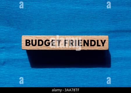 Messaggio economico scritto su un blocco di legno su sfondo blu. Simbolo di budget concettuale. Copia spazio. Foto Stock