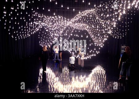 ROMA, ITALIA - MARZO 28: Museo delle mongolfiere a Roma. TOPOLOGIA A IMPULSI RAFAEL LOZANO-HEMMER Pulse Topology è composta da migliaia di lampadine sospese a diverse altezze che creano una serie di creste e valleysan intima paesaggio che i visitatori sono invitati a attraversare. La luminosità di ciascuna lampadina risplende al polso di un partecipante diverso dal passato. I sensori a impulsi personalizzati registrano i battiti cardiaci dei visitatori: Quando un nuovo partecipante interagisce con l'installazione, il loro impulso viene aggiunto al tettuccio delle registrazioni sopra di essi, cancellando quello più vecchio, come un ricordo mori. Modulo Foto Stock