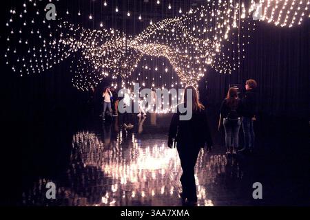 ROMA, ITALIA - MARZO 28: Museo delle mongolfiere a Roma. TOPOLOGIA A IMPULSI RAFAEL LOZANO-HEMMER Pulse Topology è composta da migliaia di lampadine sospese a diverse altezze che creano una serie di creste e valleysan intima paesaggio che i visitatori sono invitati a attraversare. La luminosità di ciascuna lampadina risplende al polso di un partecipante diverso dal passato. I sensori a impulsi personalizzati registrano i battiti cardiaci dei visitatori: Quando un nuovo partecipante interagisce con l'installazione, il loro impulso viene aggiunto al tettuccio delle registrazioni sopra di essi, cancellando quello più vecchio, come un ricordo mori. Modulo Foto Stock