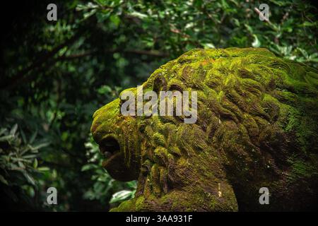 L'unica scultura di leoni ricoperta di muschio si erge in mezzo a una lussureggiante vegetazione nella riverita foresta delle scimmie di Bali. Foto Stock