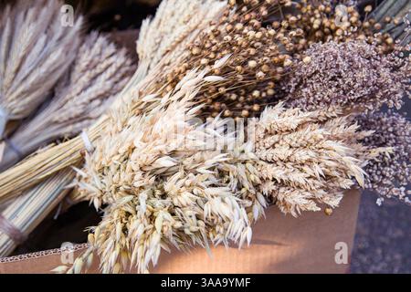 Sfondo con bouquet minimalistici di erbe secche e frumento, lenticchie e altri in stile rustico Foto Stock
