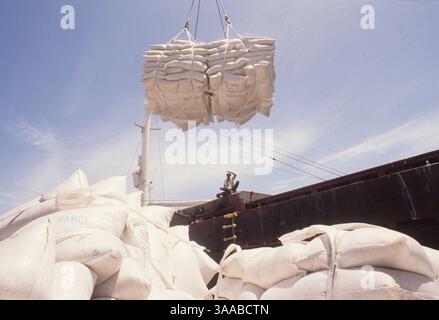 1 agosto 1992; Mogadiscio, SOMALIA; i lavoratori scaricano sacchi di farina e riso donati nel porto di Mogadiscio. Artiglieri armati e banditi hanno impedito che gran parte degli aiuti alimentari raggiungessero le persone bisognose, in particolare all'interno del paese. Credito obbligatorio: Foto di Cheryl Hatch/ZUMA Press. (©) Copyright 1992 di Cheryl Hatch Foto Stock