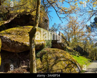 Enorme masso mistico di granito nella montagna di Penha, Guimaraes, Portogallo Foto Stock