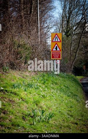 Cartello composito sul bordo della strada dove crescono le nevi. La segnaletica è costituita da 30 km/h, ridurre la velocità, restringere la strada e raod davanti a sinistra. Foto Stock