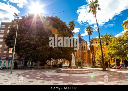 Ficus Centenario Large Ficus Tree in Plaza Maria Agustina, Castellón De la Plana, Spagna Foto Stock