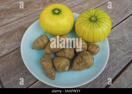 Chaerophyllum bulbosum, rapa chervil, bulbo chervil, radice sana, zucchine (Cucurbita pepo subsp. pepo convar. giromontiina), zucchine, giallo, ro Foto Stock