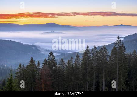 Alba sul Grosser Arber, vista su foreste infinite con nebbia di valle, foresta bavarese, bassa Baviera, Baviera, Germania, Europa Foto Stock