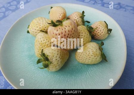 Fragola di ananas, fragola di ananas bianca, ananas, varietà speciale di fragole, frutta, frutti di bosco, sano, gustoso, fotografia di cibo, studio, Ger Foto Stock
