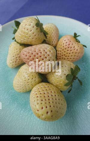 Fragola di ananas, fragola di ananas bianca, ananas, varietà speciale di fragole, frutta, frutti di bosco, sano, gustoso, fotografia di cibo, studio, Ger Foto Stock