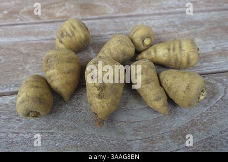Chaerophyllum bulbosum (Chaerophyllum bulbosum), rapa chervil, bulbo chervil, radice sana, nutrizione sana, cucina vegetale, fotografia gastronomica, s Foto Stock