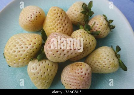 Fragola di ananas, fragola di ananas bianca, ananas, varietà speciale di fragole, frutta, frutti di bosco, sano, gustoso, fotografia di cibo, studio, Ger Foto Stock