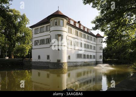 Il castello fortificato nella città di Bad Rappenau, Baden-Wuerttemberg, Germania, Europa Foto Stock
