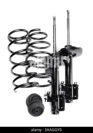 Set di ammortizzatori e molle e cuscinetti reggispinta isolati su sfondo bianco Foto Stock