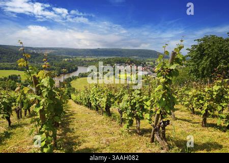 La valle del Neckar, vista dal Michelsberg, Gundelsheim, Baden-Wuerttemberg, Germania, Europa Foto Stock