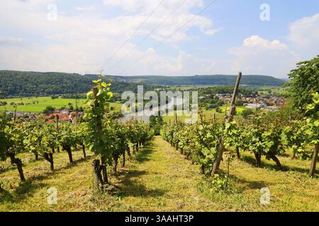 La valle del Neckar, vista dal Michelsberg, Gundelsheim, Baden-Wuerttemberg, Germania, Europa Foto Stock