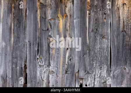 Le pareti in legno con agenti atmosferici mostrano una miscela di toni e texture grigie, che mostrano l'invecchiamento naturale e la bellezza del legno alla luce del giorno. Foto Stock