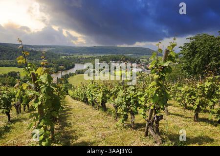 La valle del Neckar, vista dal Michelsberg, Gundelsheim, Baden-Wuerttemberg, Germania, Europa Foto Stock