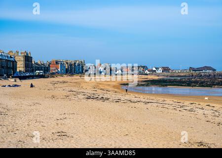 Bassa marea a Milsey Bay Beach guardando verso ovest verso lo Scottish Seabird Centre a North Berwick, East Lothian, Scotland, UK Foto Stock
