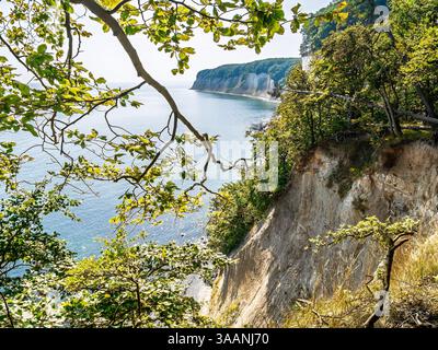 Scogliere di gesso di Stubbenkammer che si innalzano sul Mar Baltico lungo il sentiero escursionistico Hochuferweg nel Parco Nazionale di Jasmund, Rügen, Meclemburgo-Vorpommern, Germania Foto Stock
