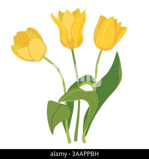 Bellissimo bouquet di tulipani gialli isolati su sfondo bianco. Bouquet di fiori primaverili, regalo per la giornata internazionale della donna o per la festa della mamma. Illustrazione vettoriale colorata in stile piatto. Illustrazione Vettoriale