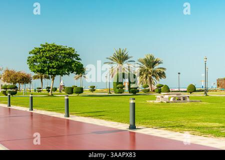 Kalba Corniche a Sharjah Emirati Arabi Uniti (Emirati Arabi Uniti) in una splendida giornata a piedi lungo il Golfo dell'Oman vicino alla città. con bellissimi fiori gialli. H Foto Stock