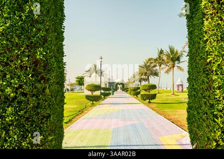 Kalba Corniche a Sharjah Emirati Arabi Uniti (Emirati Arabi Uniti) in una splendida giornata a piedi lungo il Golfo dell'Oman vicino alla città. con bellissimi fiori gialli. H Foto Stock