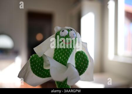 Skånes-Fagerhult, Skåne, Svezia. 1° aprile 2025. Cactus danzanti. Foto Stock