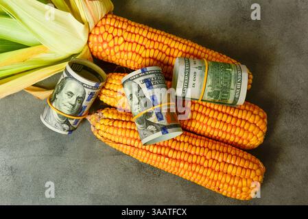Banconote da un dollaro con semi di mais (Zea mays) concetto agroalimentare di produzione agricola e dollari agricoli in Argentina" Foto Stock