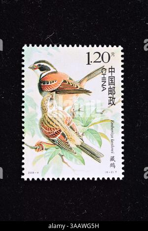 CINA - CIRCA 2008: Un francobollo stampato in Cina mostra Birds of China, circa 2008 Foto Stock